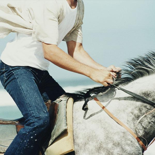 Jeździec na białym koniu